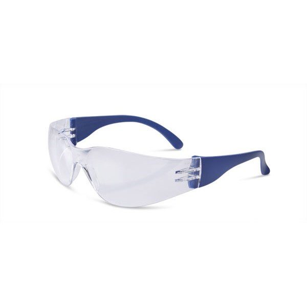 Everson Safety Spectacle