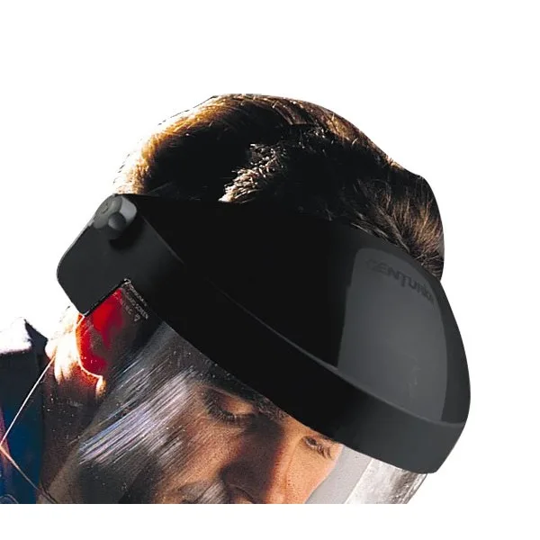 S89 Browguard