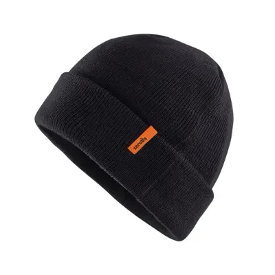 Thinsulate Beanie