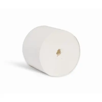 Beeswift 2Ply Coreless Toilet Roll (Box of 36)